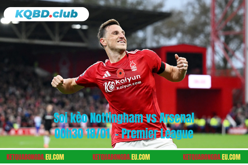 Đội hình dự kiến trước trận Nottingham vs Arsenal Đội hình dự kiến trước trận Nottingham vs Arsenal