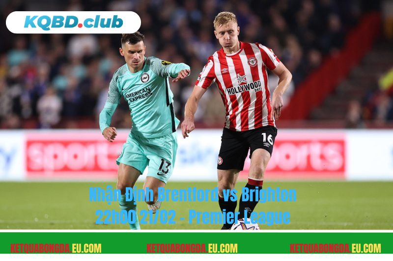 Đội hình dự kiến trước trận Brentford vs Brighton